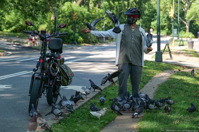 an e-biker covered in pigeons